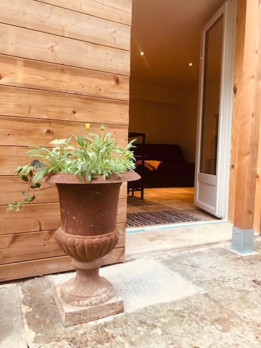 Bienvenue « A L'Ombre Du Figuier » Apartment Pieusse Exterior foto